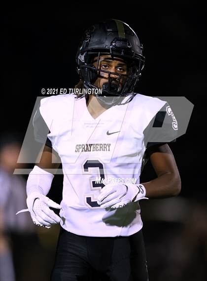 Thumbnail 1 in Sprayberry @ Lassiter photogallery.
