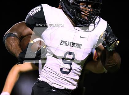 Thumbnail 2 in Sprayberry @ Lassiter photogallery.