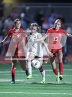 Photo from the gallery "Stratford @ Memorial"