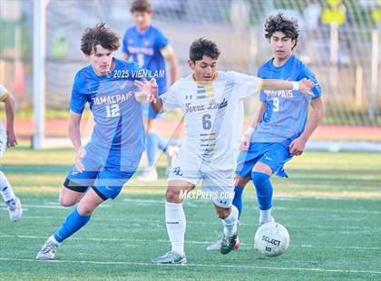 Thumbnail 3 in Terra Linda @ Tamalpais photogallery.