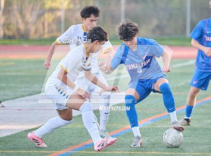 Thumbnail 1 in Terra Linda @ Tamalpais photogallery.