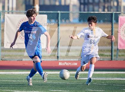 Thumbnail 1 in Terra Linda @ Tamalpais photogallery.