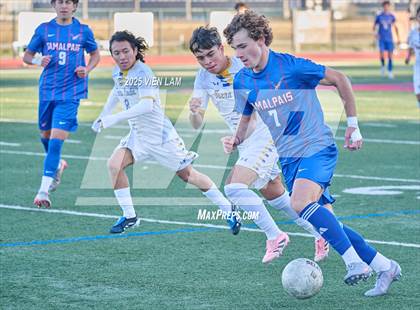 Thumbnail 1 in Terra Linda @ Tamalpais photogallery.