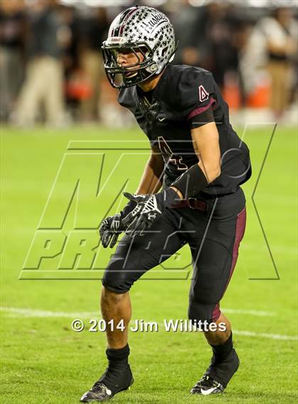 Thumbnail 1 in Hamilton vs. Chandler (AIA D1 Final)  photogallery.