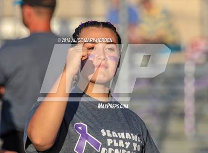 Thumbnail 1 in River Ridge @ Sunlake photogallery.