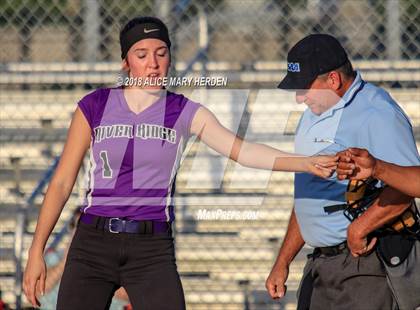 Thumbnail 1 in River Ridge @ Sunlake photogallery.