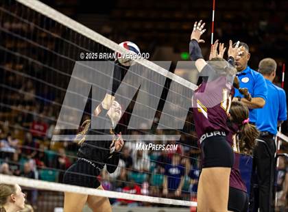 Thumbnail 1 in Alamosa vs. Sterling (CHSAA 3A Round 2) photogallery.