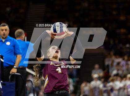 Thumbnail 3 in Alamosa vs. Sterling (CHSAA 3A Round 2) photogallery.