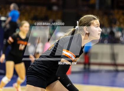 Thumbnail 3 in Alamosa vs. Sterling (CHSAA 3A Round 2) photogallery.