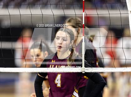 Thumbnail 3 in Alamosa vs. Sterling (CHSAA 3A Round 2) photogallery.