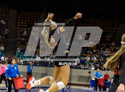 Thumbnail 2 in Alamosa vs. Sterling (CHSAA 3A Round 2) photogallery.