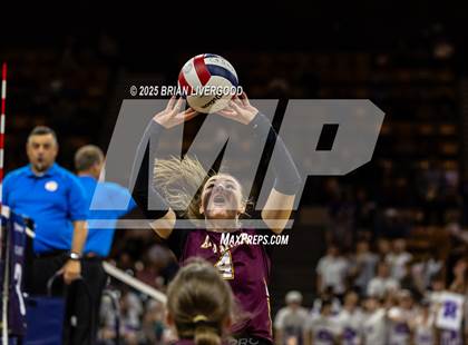 Thumbnail 2 in Alamosa vs. Sterling (CHSAA 3A Round 2) photogallery.