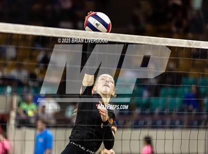 Thumbnail 3 in Alamosa vs. Sterling (CHSAA 3A Round 2) photogallery.