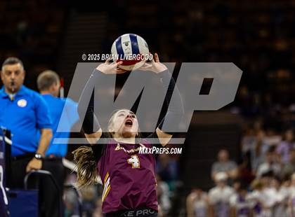 Thumbnail 1 in Alamosa vs. Sterling (CHSAA 3A Round 2) photogallery.