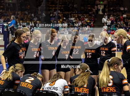 Thumbnail 3 in Alamosa vs. Sterling (CHSAA 3A Round 2) photogallery.