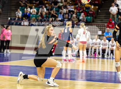 Thumbnail 2 in Alamosa vs. Sterling (CHSAA 3A Round 2) photogallery.