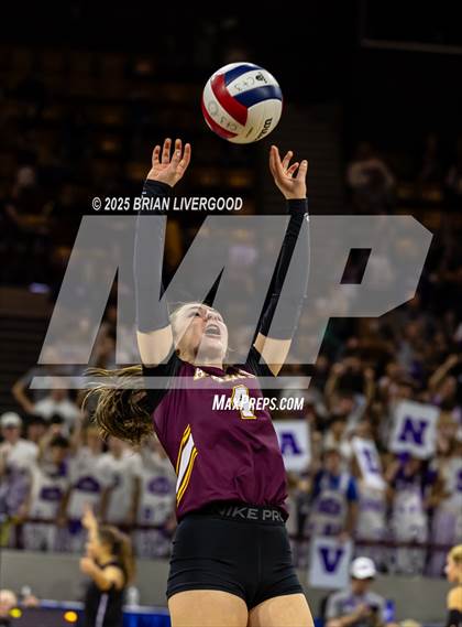 Thumbnail 2 in Alamosa vs. Sterling (CHSAA 3A Round 2) photogallery.