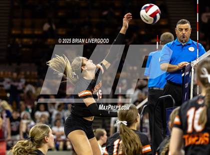 Thumbnail 2 in Alamosa vs. Sterling (CHSAA 3A Round 2) photogallery.