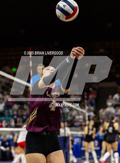 Thumbnail 1 in Alamosa vs. Sterling (CHSAA 3A Round 2) photogallery.