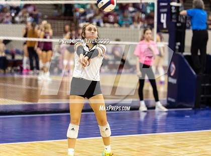 Thumbnail 1 in Alamosa vs. Sterling (CHSAA 3A Round 2) photogallery.