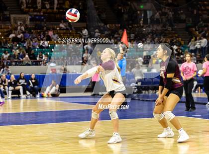 Thumbnail 2 in Alamosa vs. Sterling (CHSAA 3A Round 2) photogallery.