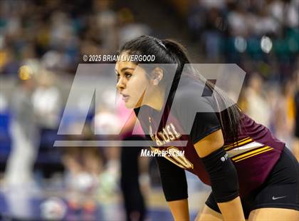 Thumbnail 2 in Alamosa vs. Sterling (CHSAA 3A Round 2) photogallery.