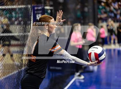 Thumbnail 2 in Alamosa vs. Sterling (CHSAA 3A Round 2) photogallery.