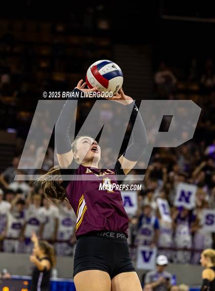 Thumbnail 1 in Alamosa vs. Sterling (CHSAA 3A Round 2) photogallery.