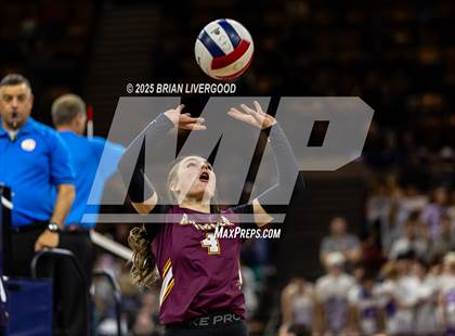 Thumbnail 2 in Alamosa vs. Sterling (CHSAA 3A Round 2) photogallery.