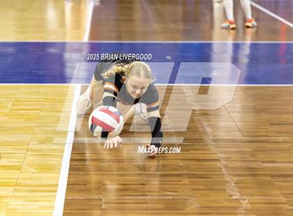 Thumbnail 1 in Alamosa vs. Sterling (CHSAA 3A Round 2) photogallery.