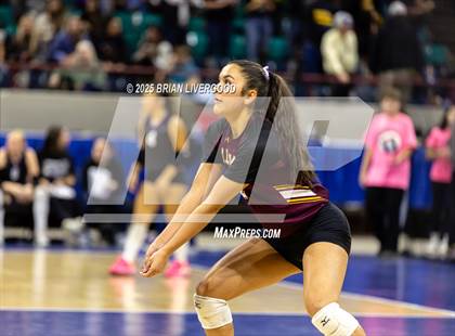 Thumbnail 2 in Alamosa vs. Sterling (CHSAA 3A Round 2) photogallery.