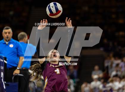 Thumbnail 2 in Alamosa vs. Sterling (CHSAA 3A Round 2) photogallery.