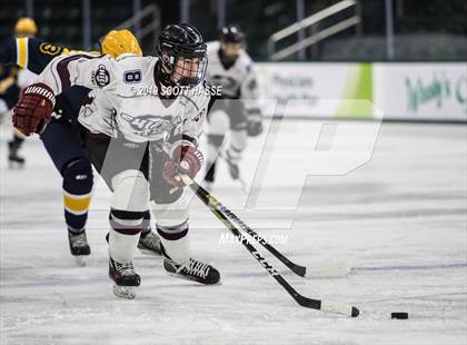 Thumbnail 3 in East Grand Rapids vs. Okemos photogallery.