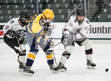 Thumbnail 3 in East Grand Rapids vs. Okemos photogallery.