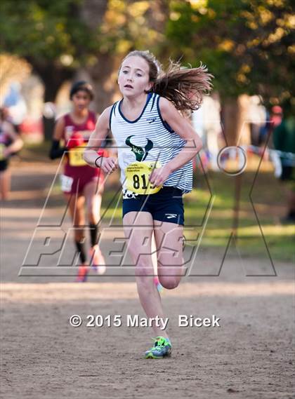 Thumbnail 2 in CIF State Cross Country Championships (D3 Girls Race) photogallery.