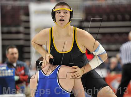 Thumbnail 3 in PIAA AAA Wrestling Championships (Quarterfinals) photogallery.
