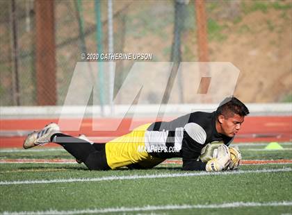 Thumbnail 3 in Arlington @ Poly photogallery.