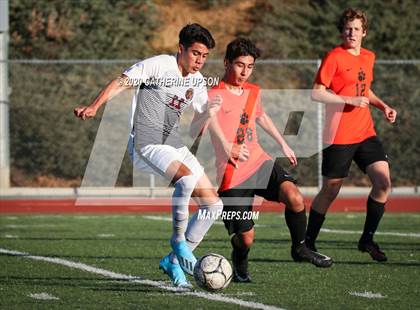 Thumbnail 3 in Arlington @ Poly photogallery.