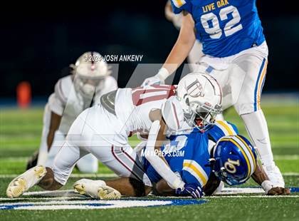 Thumbnail 2 in Dunham @ Live Oak photogallery.