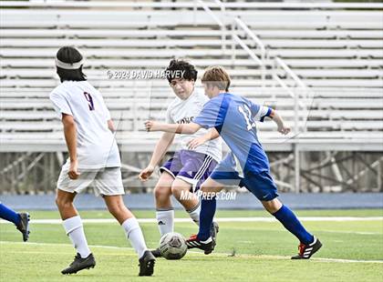Thumbnail 3 in Littleton vs Englewood photogallery.