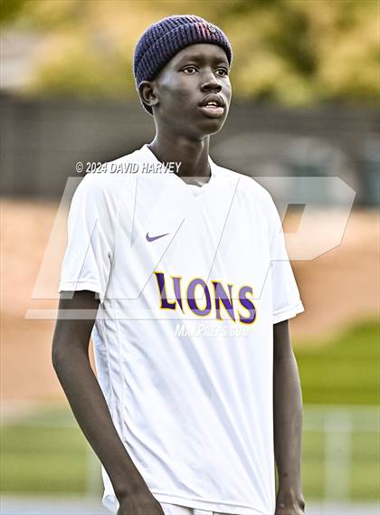 Thumbnail 3 in Littleton vs Englewood photogallery.