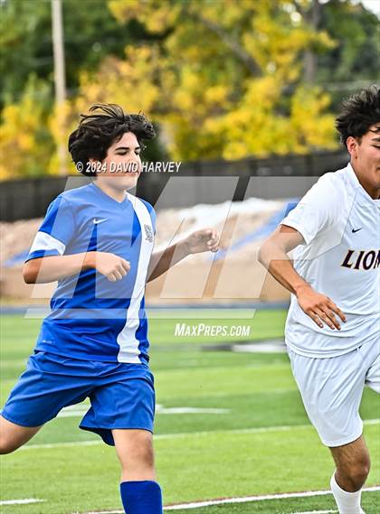 Thumbnail 1 in Littleton vs Englewood photogallery.