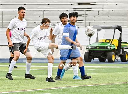 Thumbnail 3 in Littleton vs Englewood photogallery.