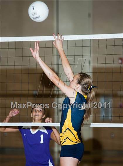 Thumbnail 3 in Johansen @ Gregori photogallery.