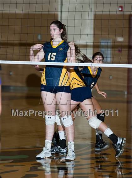 Thumbnail 2 in Johansen @ Gregori photogallery.