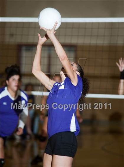 Thumbnail 2 in Johansen @ Gregori photogallery.