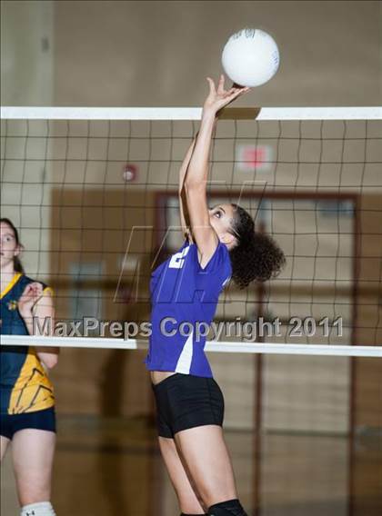 Thumbnail 3 in Johansen @ Gregori photogallery.