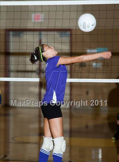 Thumbnail 2 in Johansen @ Gregori photogallery.