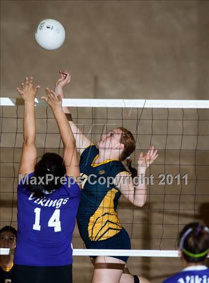 Thumbnail 2 in Johansen @ Gregori photogallery.