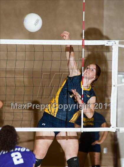 Thumbnail 2 in Johansen @ Gregori photogallery.
